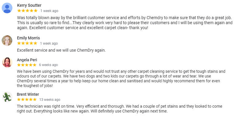 ChemDry carpet cleaning